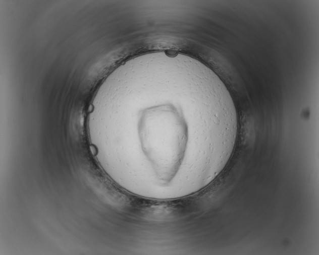 X0000116660310200912291643