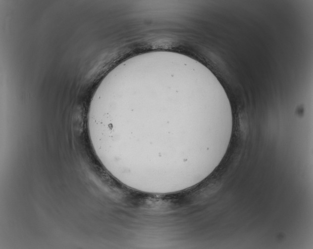 X0000116660311200912291643