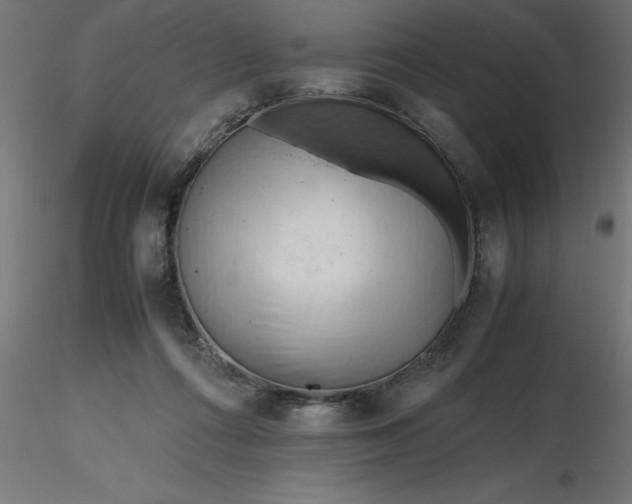 X0000116660312200912291643