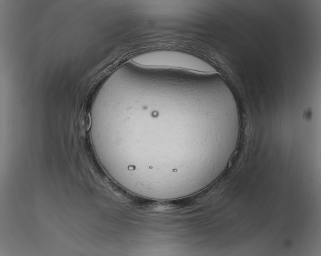 X0000116660313200912291643