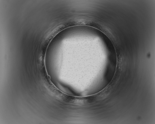 X0000116660314200912291643