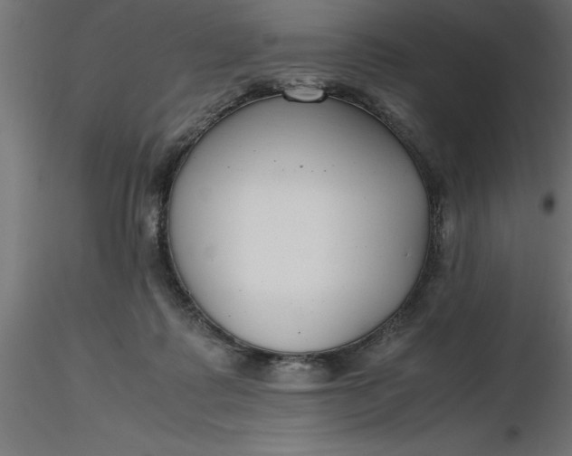 X0000116660315200912291643