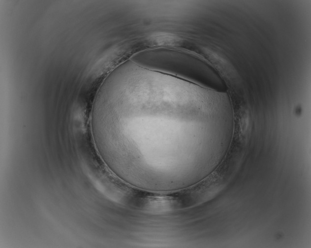 X0000116660316200912291643