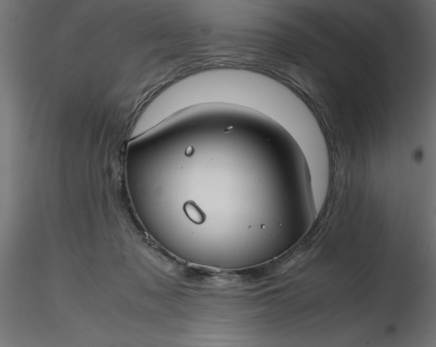 X0000116660317200912291643