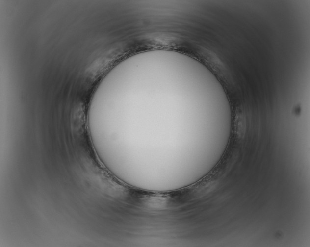 X0000116660318200912291643