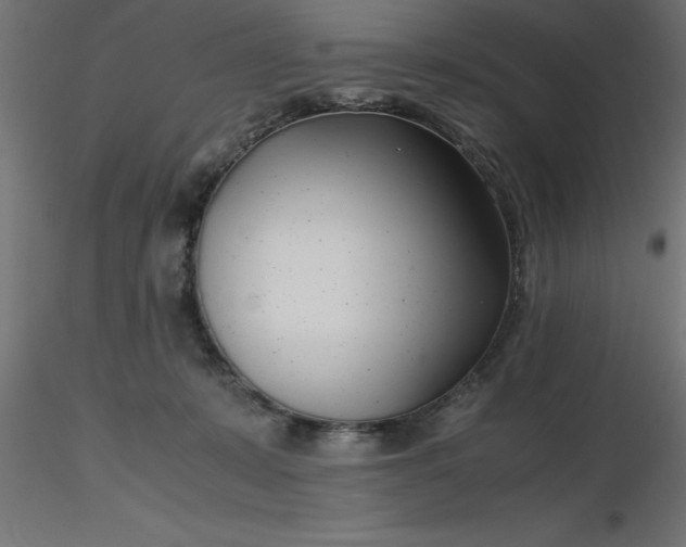 X0000116660319200912291643