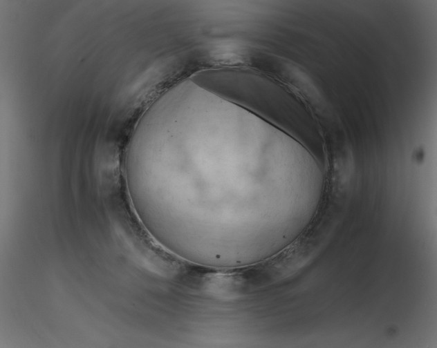 X0000116660320200912291643