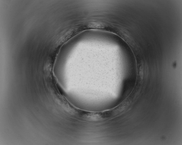 X0000116660322200912291643