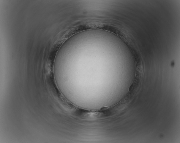 X0000116660323200912291643