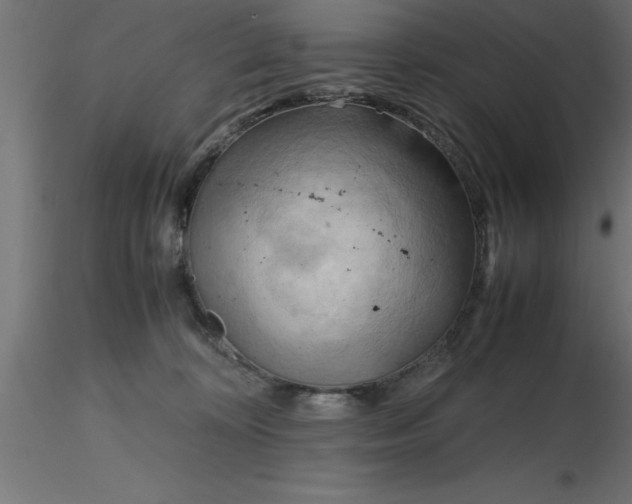 X0000116660324200912291643