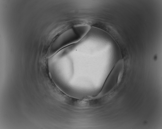 X0000116660325200912291643