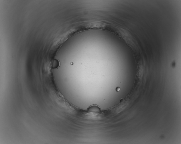 X0000116660326200912291643