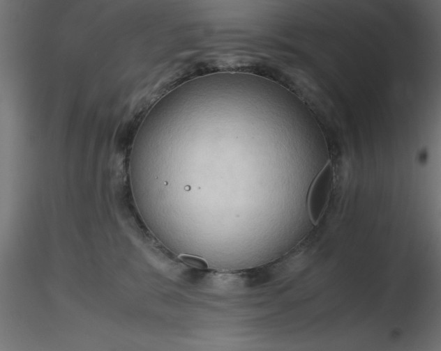 X0000116660327200912291643