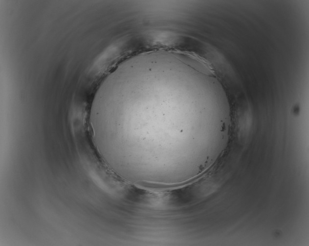 X0000116660328200912291643