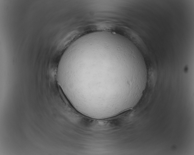 X0000116660329200912291642