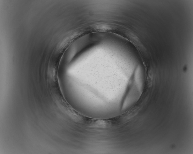 X0000116660330200912291642