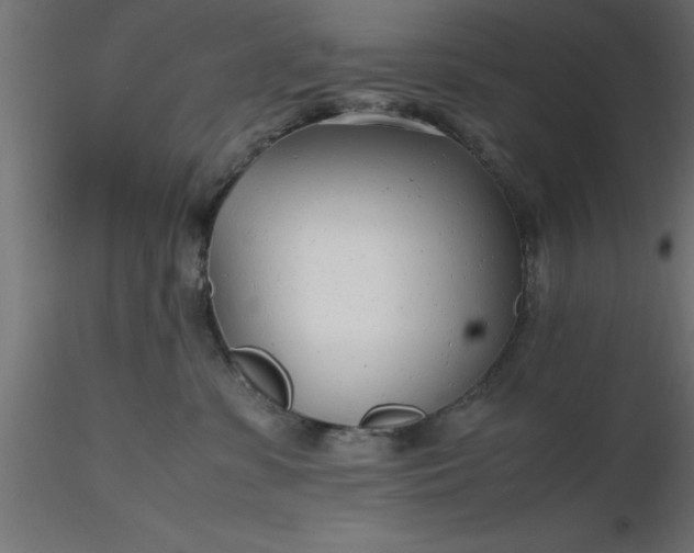 X0000116660331200912291642