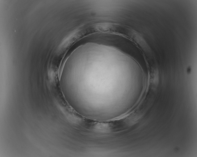 X0000116660332200912291642