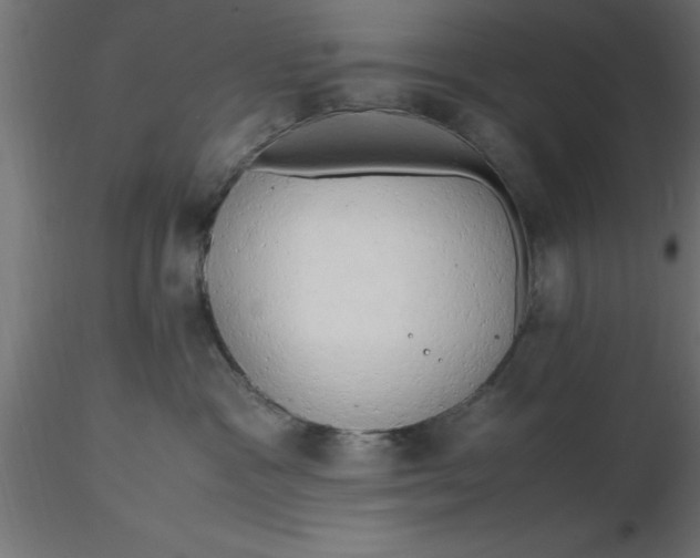 X0000116660333200912291642