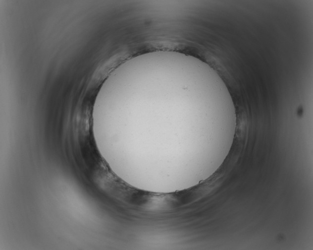 X0000116660334200912291642