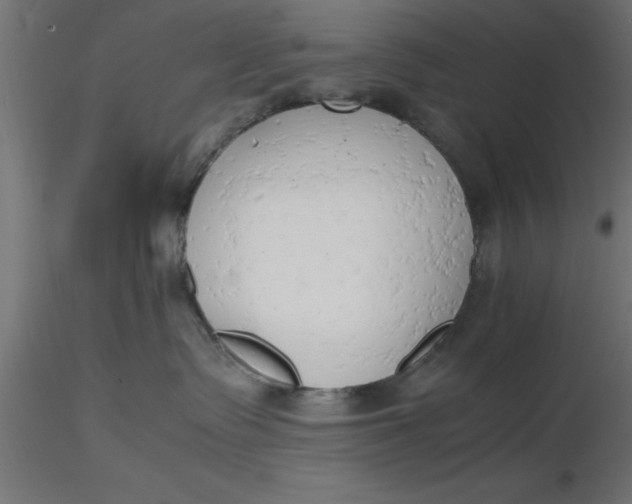 X0000116660335200912291642