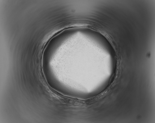 X0000116660337200912291642