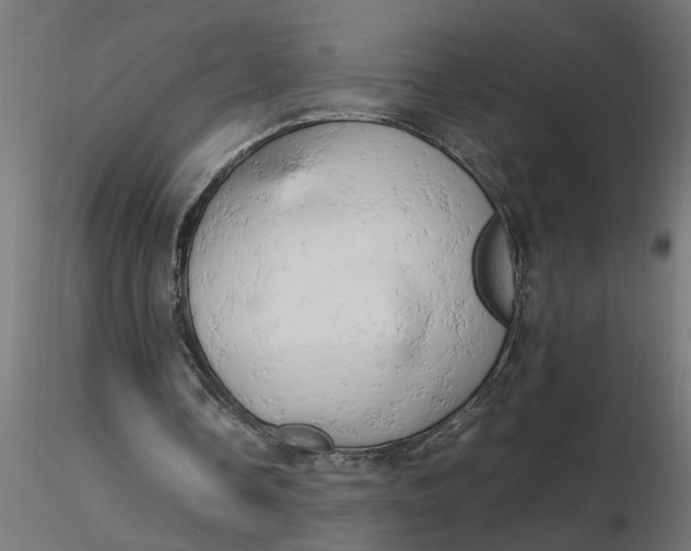 X0000116660338200912291642