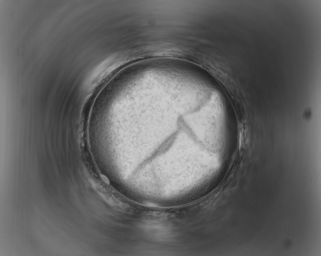 X0000116660339200912291642