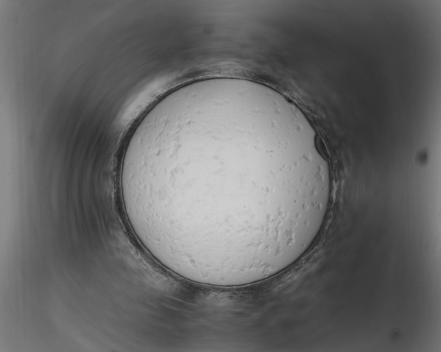 X0000116660341200912291642