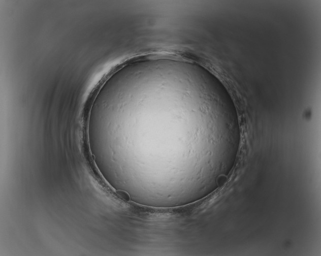 X0000116660342200912291642