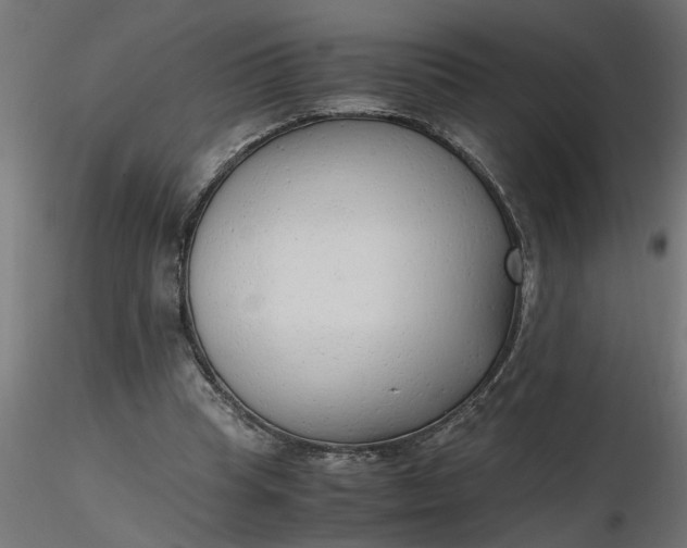 X0000116660345200912291642