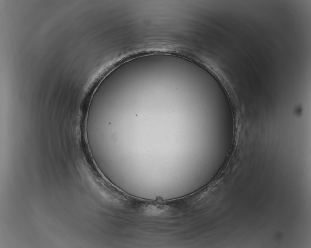 X0000116660346200912291642