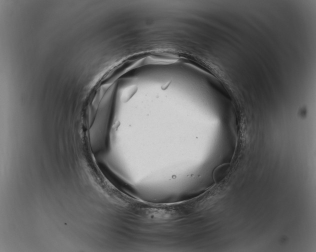 X0000116660347200912291642