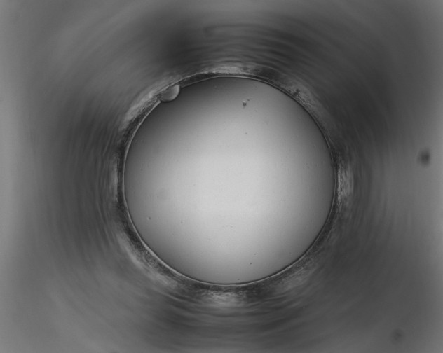 X0000116660349200912291642