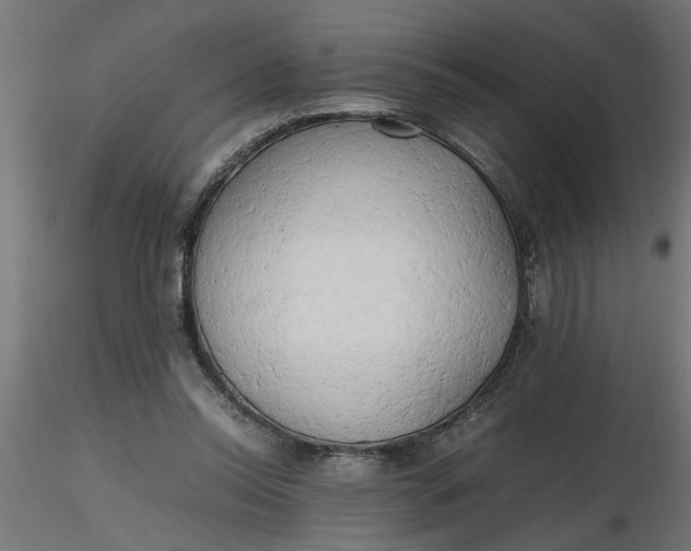 X0000116660350200912291642