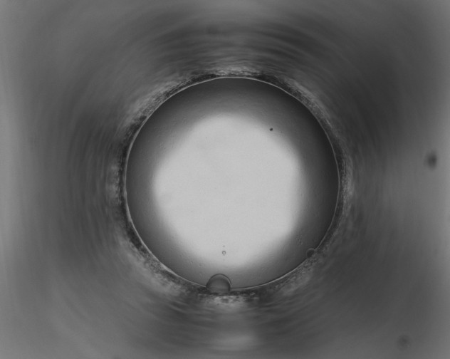 X0000116660353200912291642