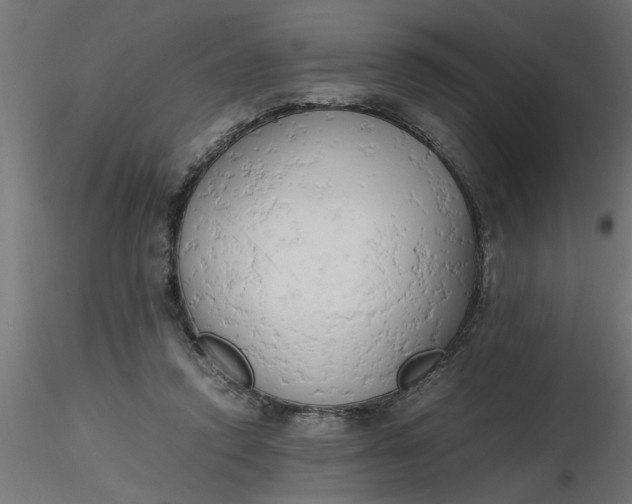 X0000116660354200912291642