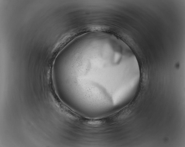 X0000116660357200912291642