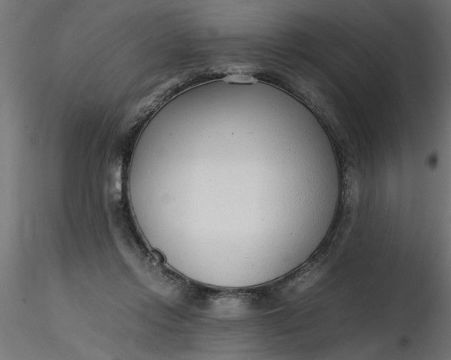 X0000116660358200912291642