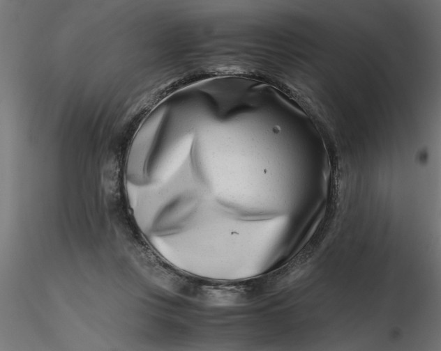 X0000116660359200912291642