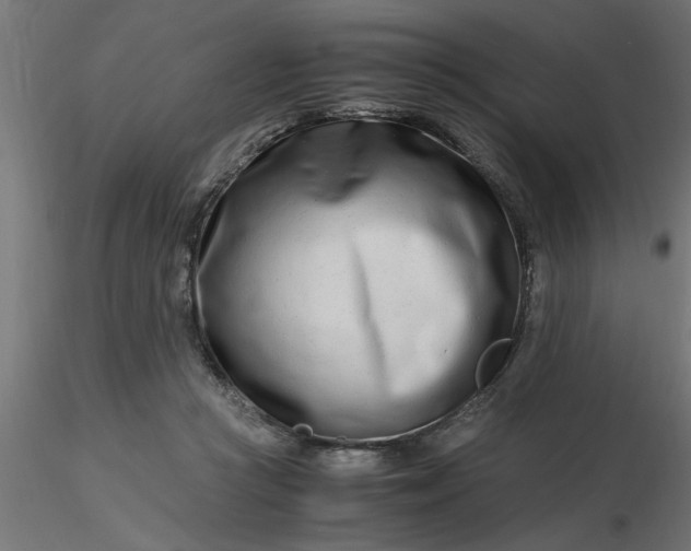 X0000116660361200912291642