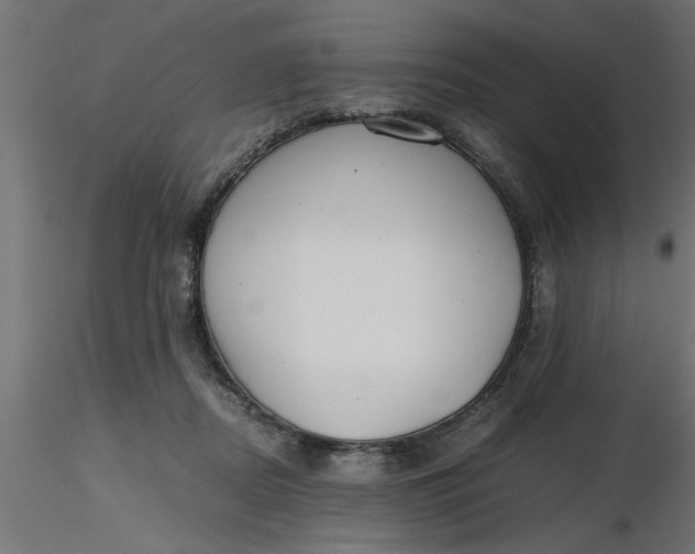 X0000116660362200912291642