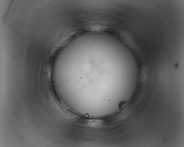 X0000116660363200912291642