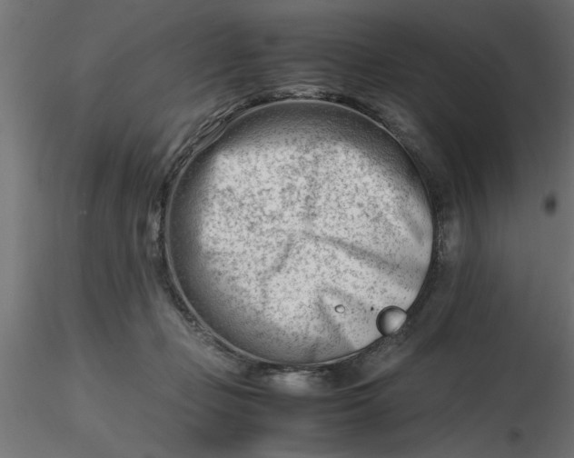 X0000116660365200912291642