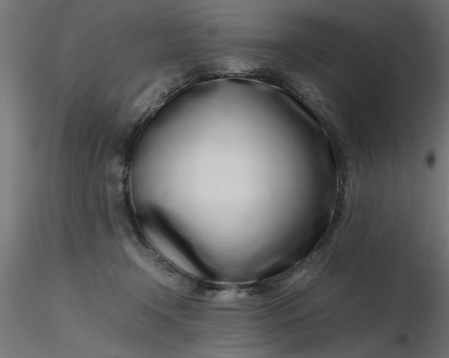 X0000116660366200912291642