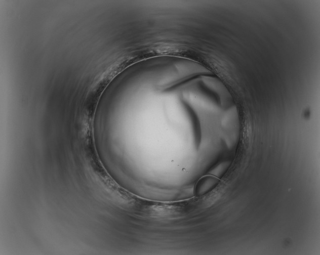 X0000116660367200912291642