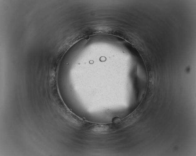 X0000116660369200912291642