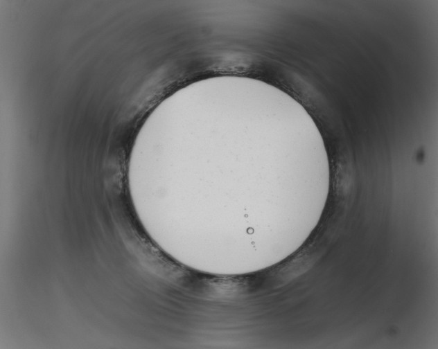 X0000116660370200912291642