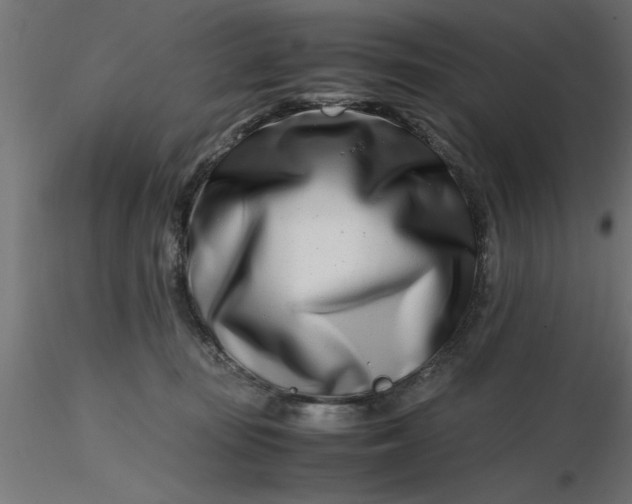 X0000116660371200912291642