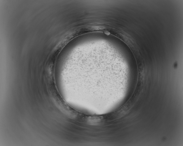 X0000116660373200912291642